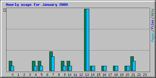 Hourly usage for January 2009